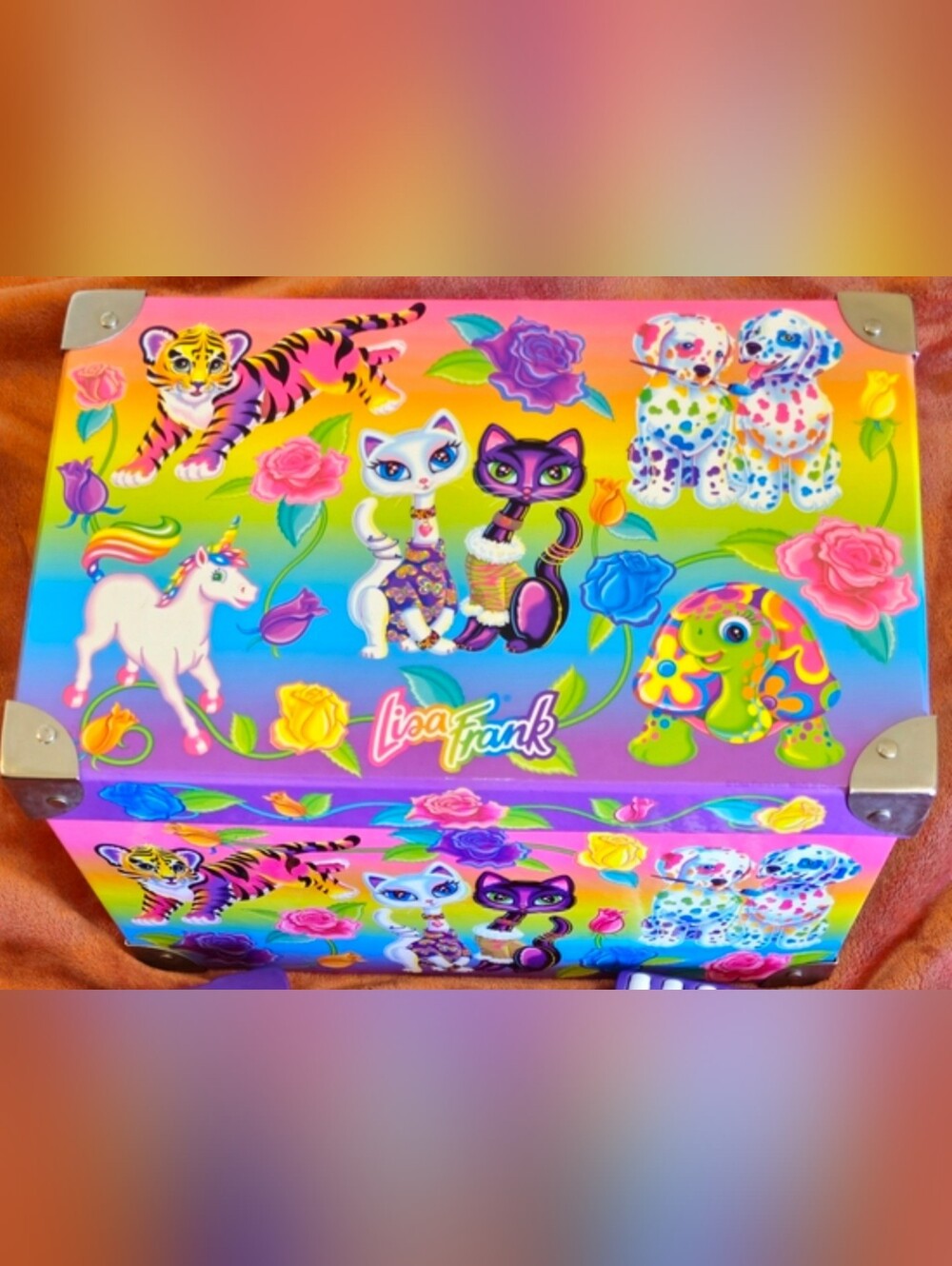 Lisa Frank Chest With Lid